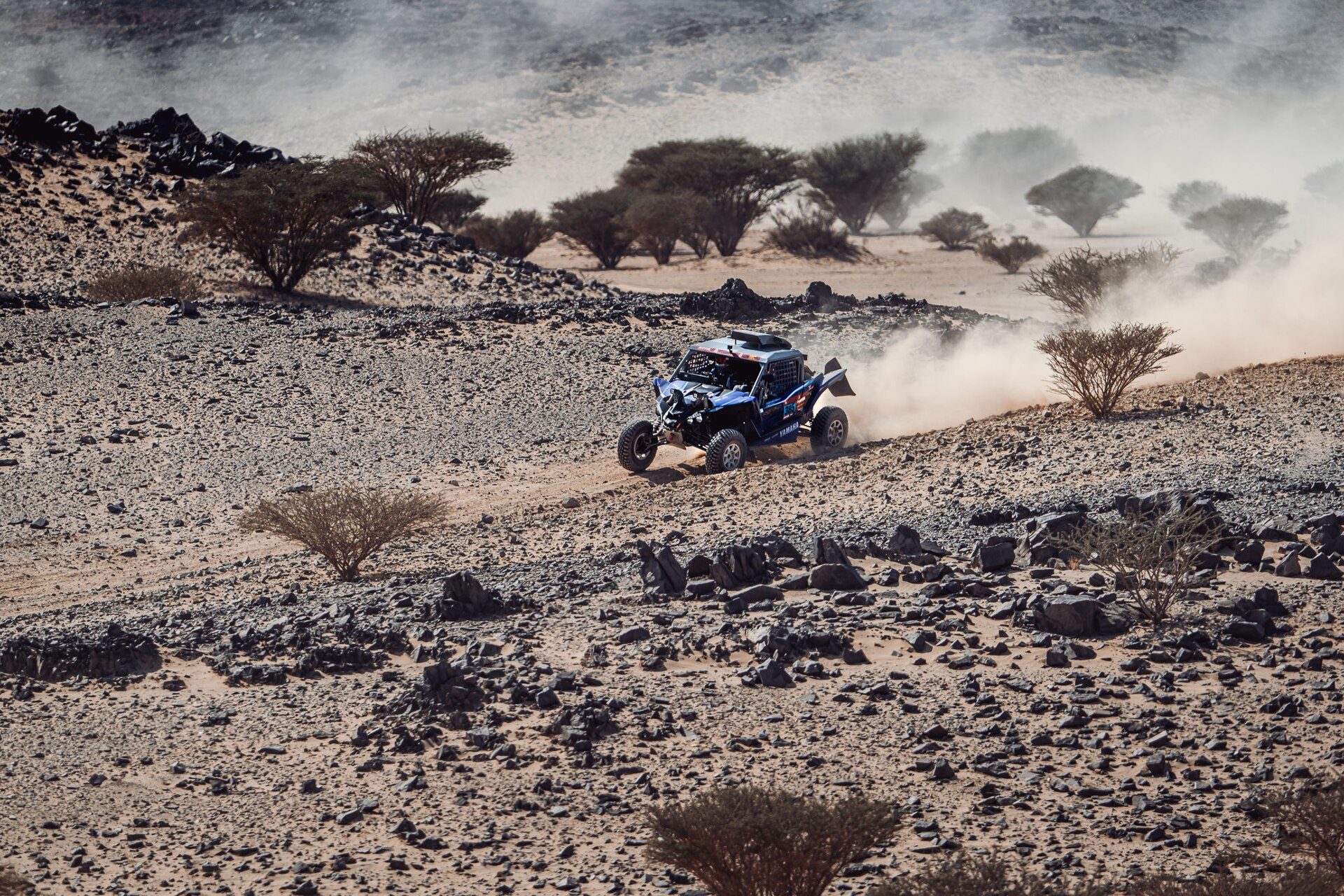 Wide desert plain dotted with acacia trees and a rally vehicle in the distance