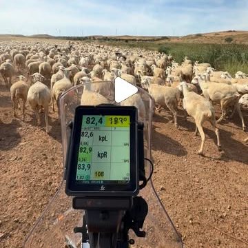 Another day at the office with Edgar Canet (video)